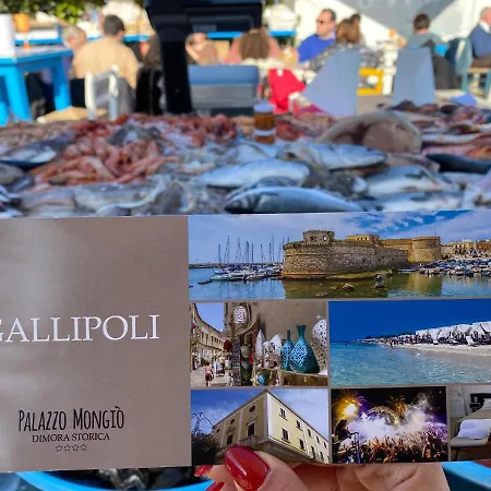 Palazzo Mongio Gallipoli