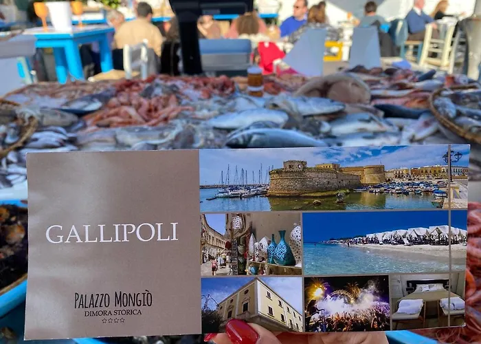 Palazzo Mongio Gallipoli